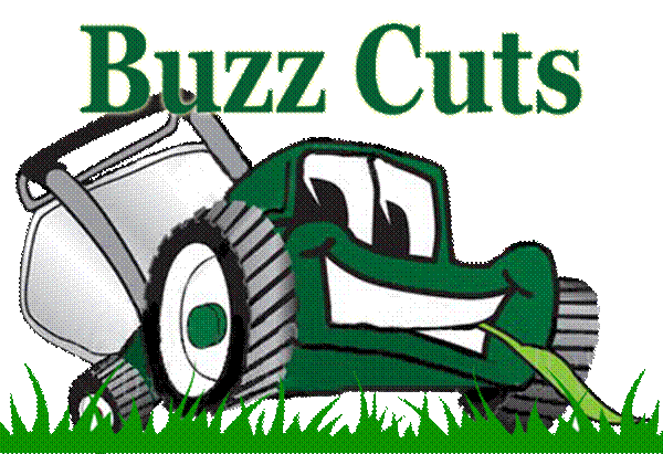 BuzzGrassFixedElectricTransparent.png