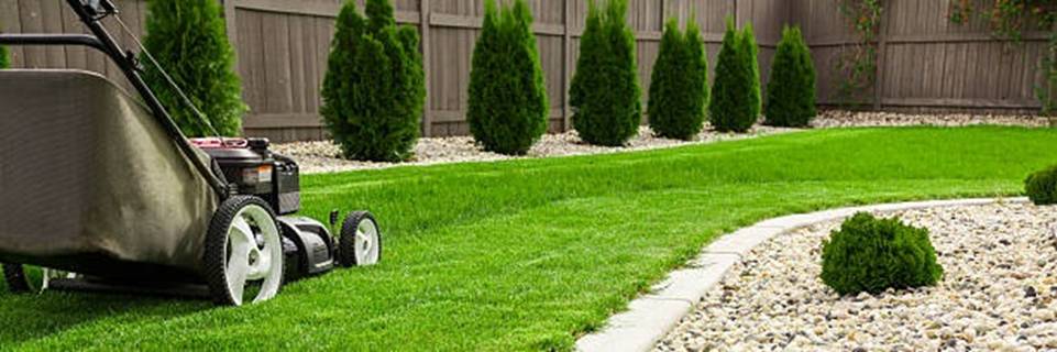 GrassCutRectangularMaster.jpg